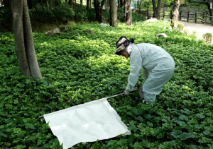 서울시보건환경연구원, 가을 나들이철 진드기 주의…도심공원 진드기 집중 감시